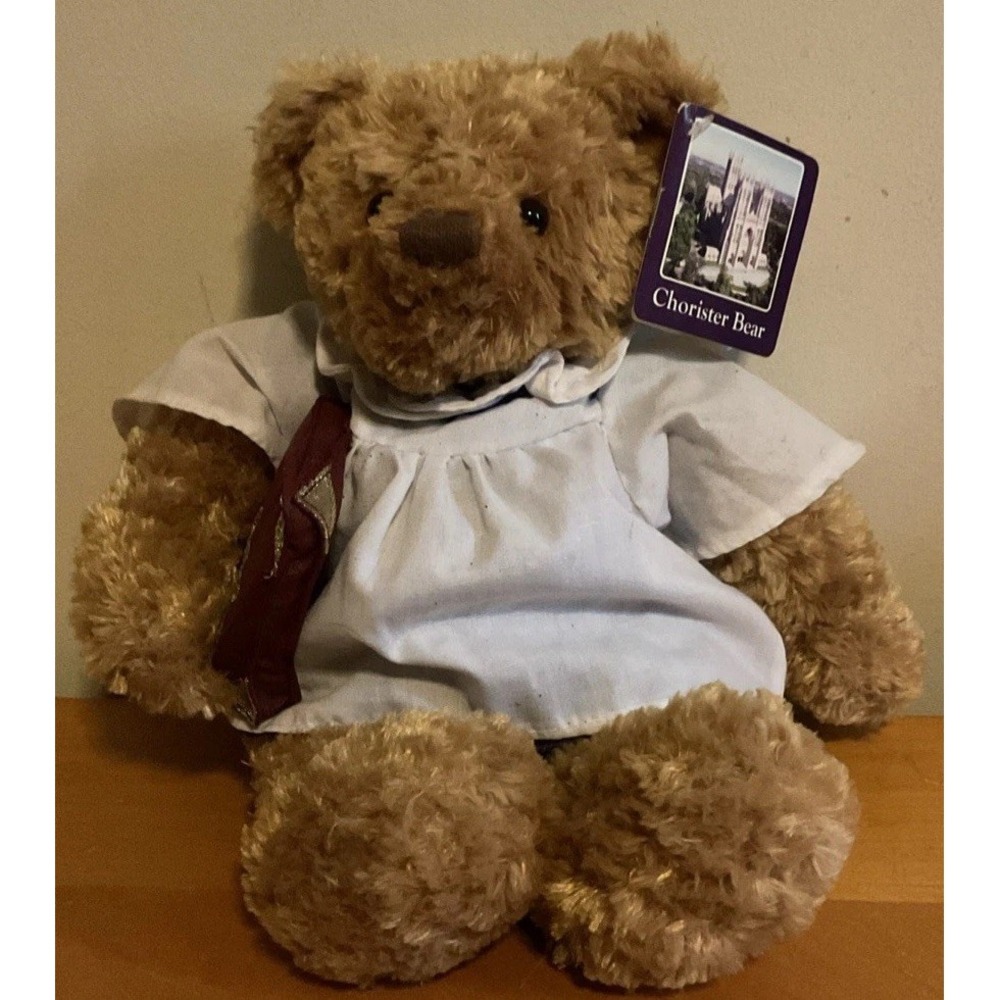 Gund Chorister Bear 12" Holding A Bible, Washington National Cathedral With Tag